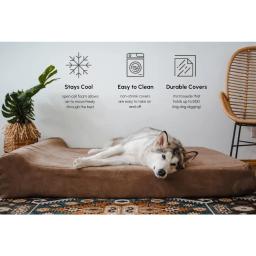 Cama ortopédica com encosto de cabeça, 7 "Dog Bed para cães grandes, Lavável Microsuede Cover, Camas Freight Free, Suprimentos de almofada - Image 6