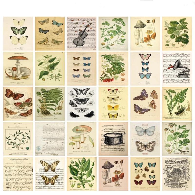 30 pçs retro antigo floresta animais plantas espécime cartão postal vintage criativo escrita cartões postais diar diários diy - Image 1