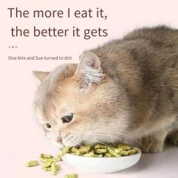 Vara de hortelã para hortelã para gato, Pronto para comer, lamber e engorda, Lanche e biscoitos, bebê - Image 3