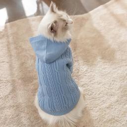 Roupas quentes de inverno para gatos, roupas pet, roupas fashion, casacos, suéter macio, capuz, pet primavera - Image 3