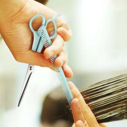 Pet Grooming Scissors Tesouras retas Gatos Animal Tesoura diluindo cabelo Acessórios para animais Pet Ferramenta corte cabelo Tesoura cabelo cão - Image 5