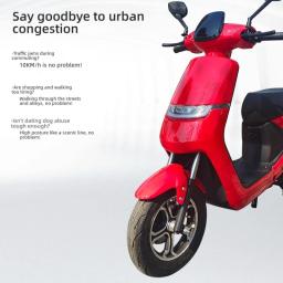 Bicicleta elétrica de íon de lítio para adultos, bicicleta leve de liga de magnésio para homens e mulheres, bicicleta assistida por energia - Image 2