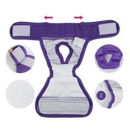 Fralda confortável para cães à prova de vazamento, calça menstrual pet, fita adesiva, fralda absorvente para períodos, treinamento potty incontinência - Image 5