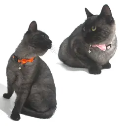 Pet Coleiras Novo Pet Bow Bell Coleiras Cute Cat Coleiras Pet Suprimentos Multicolor Ajustável Pet Dressing Tool Pet Acessórios - Image 3