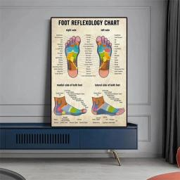 Estrutura Do Corpo Humano FACE Anatomia Cartaz, Sistema Muscular, Voltar EDUCATItional, Pele, Músculos Faciais, Wall Art, Decoração Do Quarto - Image 3