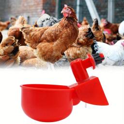 Bacia bebendo da galinha automática, distribuidor da água, codorna, aves domésticas, pato e pombo, escala livre - Image 3