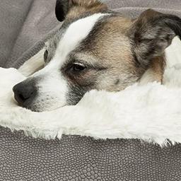 Cama Ortopédica para Cães e Gatos, Tapete Quente, Canil Almofada, Cama para Cães Indoor, Pet Sofa Products, Casas e Casas, Inverno - Image 3