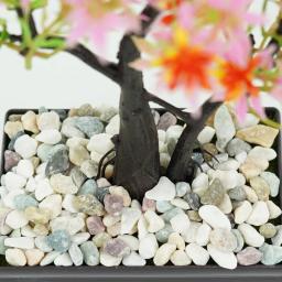 Natural Multicolor Decorativo Rio Rock Seixos, Cascalho do aquário do jardim, Vaso De Tanque De Peixes, Decorar Plantas Em Vaso, 100g - Image 4