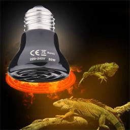 FarInfrared lâmpada de aquecimento para répteis, caixa cerâmica, aquecedor, aquecedor, lâmpada de calor, Brooder, tartaruga, aranha, 25W, 50W, 75W, 100W, E27 - Image 4