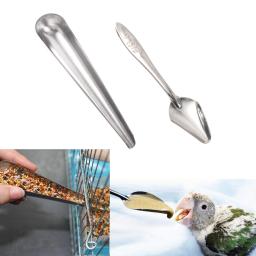 Ferramenta De Alimentação De Pássaro De Aço Inoxidável, Colher De Comida, Alimentador De Pássaro Pet, Gaiola De Papagaio, Suprimentos De Pássaro - Image 1