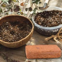 Solo de fibra de coco natural para réptil, Terrário para lagarto, Tartaruga, Terrário para réptil, Suprimentos Inferiores - Image 3