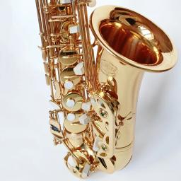 Saxofone Alto com Acessórios para Estojo, Latão Dourado Laca, Instrumento de Música, Sax E-Flat, Nova Chegada - Image 5