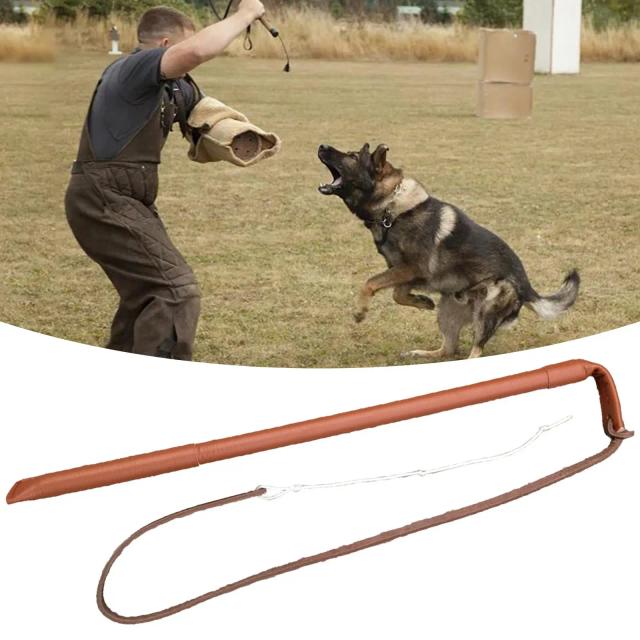 Treinamento Profissional para Cães: Controlando a Agitação e Agressividade com Brinquedos para Obediência e Entretenimento