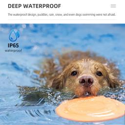 Cão elétrico inteligente treinamento colar ultra-sônico ip 67 à prova dwaterproof água parar barking coleiras usb recarregável anti casca para o cão de estimação - Image 5