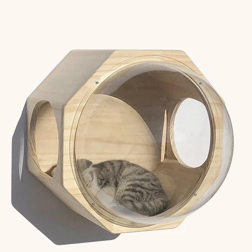 Casa na Árvore de Madeira para Gatos com Plataforma Arranhadora e Escadas - Presente Ideal para seu Animal de Estimação
