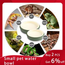 Bandeja de alimentação de bambu, pequena tigela de água réptil, alimentador de alimentos para lagungas, tartarugas, sapos eremita, caranguejos, lagartos - Image 1
