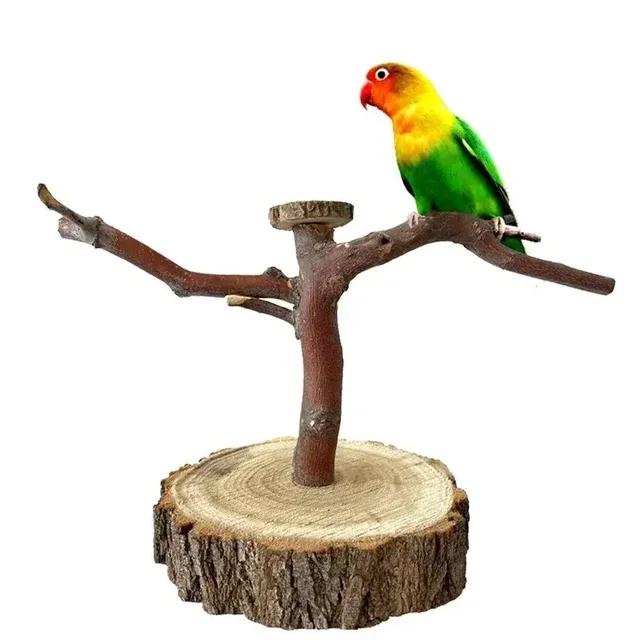 Estação Stand Parrot: Ramo Natural para Treinamento de Pássaros com Plataforma e Baloiço