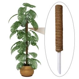 Suporte De Escalada De Plantas, Monstera, Planta De Escalada, Totem Pole, Estacas De Coco, Ajuda As Plantas De Escalada A Crescer Para Ca, Musgo Pole - Image 2