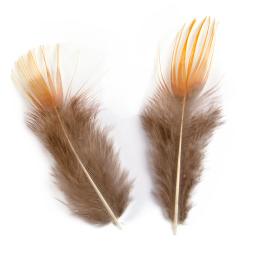 Penas naturais para artesanato DIY, pavão e faisão e frango, brinco de jóias, casamento Dream Catcher, decoração de plumas, atacado a granel, 3-15cm - Image 5