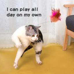 Provocando vara colarinho brinquedos para animais de estimação, gato interativo suprimentos, brinquedos Teaser, 1 a 4pcs - Image 2