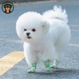 Respirável Elastic Pet Shoes, descartáveis Pé Cobre, Sujeira-Proof, Retrátil, Fita Sports, Acessórios ao ar livre, Gato e Cão Bandagens - Image 2