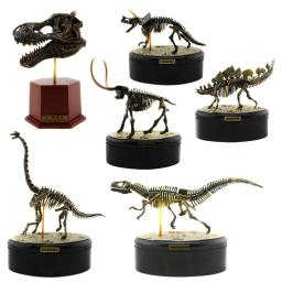 Dinossauro fóssil kits de brinquedo arqueológico jurássico mundo dinossauro esqueleto modelo ciência educacional simulação dinossauro, presente - Image 4
