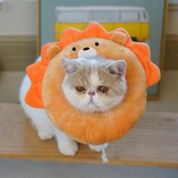 Colar protetor do cone para o gato, Colar bonito da recuperação, Cura ferida - Image 1