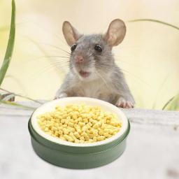Anfíbios Répteis Alimentador, Pote De Água De Alimentos De Plástico, Pet Tigela De Alimentação, Prato De Rastejador, Sapo De Caranguejo - Image 4