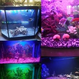 Aquário Fish Tank Luz LED Colorida, Bar Faixa Lâmpada, iluminação submersível, impermeável, luzes submersíveis, EU Plug, EU Plug - Image 4