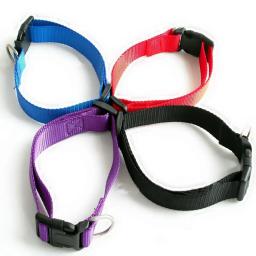 Coleiras De Nylon Ajustáveis Para Animais De Estimação, Coleiras De Cachorro, Coleira De Pescoço De Gato, Cor Sólida, Cachorro, Chihuahua, 1Pc - Image 4