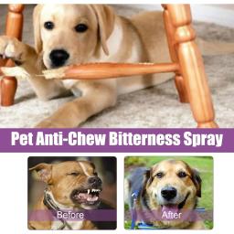 Spray calmante para animais de estimação, anti-stress e calmante, pulverizador com coleira de feromona para cães e gatos, gatinho e cães, treinamento anti-stress, condicionamento calmo - Image 6