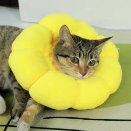 Coleira anti-mordida ajustável para animais de estimação, Coleira de pelúcia macia, Cirurgia de girassol, Cura anti-lambida - Image 4