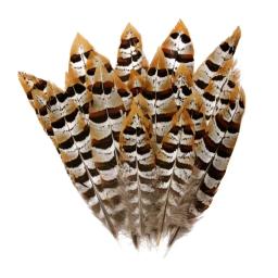 Pena De Pavão Natural Para Artesanato, Penas De Avestruz, Penas De Faisão Para Fazer Jóias, Ornamentos De Carnaval, Decoração Plumas - Image 6