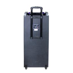 Amplificador mono grande caixa sonora para Subwoofer, equipamento sonoro personalizado, amplificadores, alto-falante, alto-falantes ao ar livre, Rock, atacado - Image 5