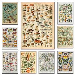 Vintage Clássico Arte Da Parede Plantas Cogumelo Medicina Flor Inseto Borboleta Vegetal Abóbora Cenoura Lona Cartazes - Image 1