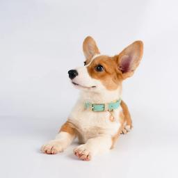 Coleira de couro personalizada DIY, placa de identificação de cachorro gravada, coleiras ID, ajustável para cães pequenos e médios, Pet Tag, personalizada - Image 2
