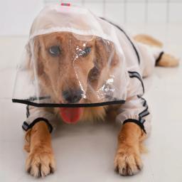 Impermeável com capuz para cães pequenos e grandes, Pet Care Jacket, Impermeável e Respirável, Dog Supplies - Image 5