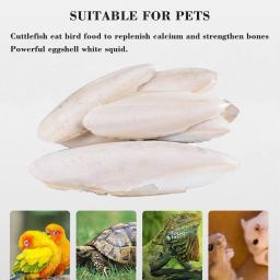 Suplementos naturais de cálcio para papagaio, Chew Osso Chew Brinquedos, Cockatiel Parrot Parrot - Image 2