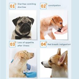 Constipação Condicionado para Cães e Gatos, Probióticos para Teddy e Cat, Diarreia Vômito Intestinal - Image 4