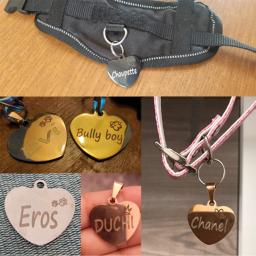 Tag personalizado do coração do cão ID, colar de gato pingente, gravado colar pet, corrente charme suprimentos, produtos de nome, personalizado - Image 5