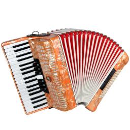 Acordeão diatônico iniciante, instrumento musical popular fole de pele de carneiro 37 teclas 80 graves - Image 2