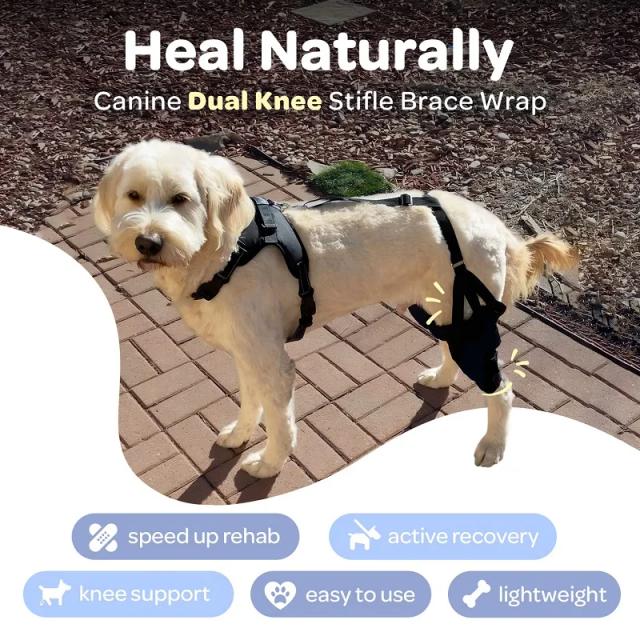 Joelheira para Cães: Suporte Eficaz para Lesões do Ligamento Cruzado, Dor Articular e Muscular, Acelerando a Recuperação com Cinta ACL