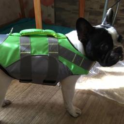 Casaco impermeável com arreios para cães pequenos e grandes, roupas para animais, casaco quente, chihuahua, buldogue francês, suprimentos para animais, inverno - Image 4