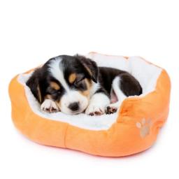 Canil lavável para animais de estimação, cama super macia, tapete de gato de pelúcia, tamanho pequeno e grande, cama para animais Bichon - Image 2