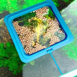 Anel alimentador de peixe flutuante automático e sem poluição, Dispensador de alimentos para aquário, Anel de alimentação para planta flutuante - Image 4
