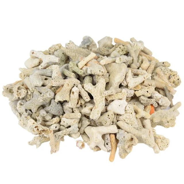 Filtro Biológico Natural de Osso de Coral para Aquários - Mídia de Aquário em Opções de 100g, 250g e 500g