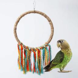 Animais de estimação pássaro papagaio brinquedo corda de algodão círculo brinquedos mastigando mordida papagaio poleiro pendurado gaiola balanço corda anel suporte de escalada brinquedo pássaro suprimentos - Image 4