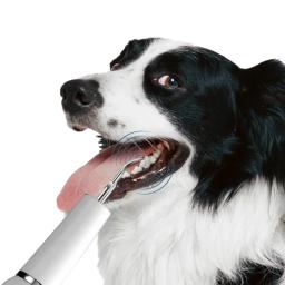 Escova de dentes ultrassônica para cães e gatos Kit de cuidados dentários Removedor de tártaro Ferramenta de limpeza dentária Remove placa - Image 2