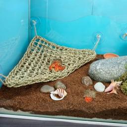 Dragão barbudo Hammock para répteis, espreguiçadeira para camaleão, lagartos, lagartixa, cobras, guana, répteis, lagartixas, grama almofada pet cama, balanço - Image 6