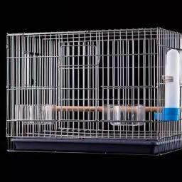 Aço inoxidável Bird Cage Acessórios, papagaio, Alimentador Casa Grande, Pet Móveis, CY50BC - Image 1
